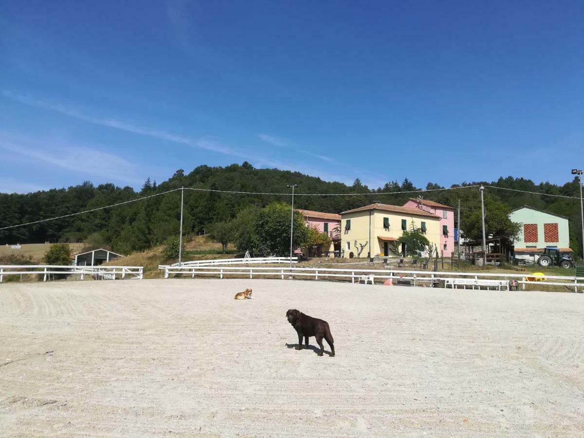 Agriturismo Dei Legi San Pietro Vara Exterior foto
